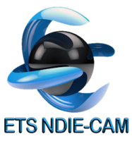 logo_footer